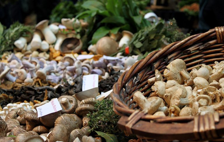 Wild foods you can't find in supermarkets