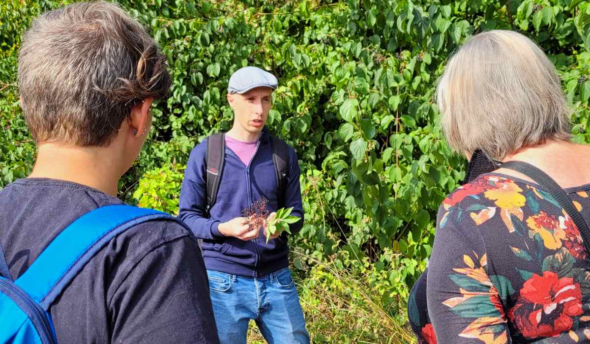 UK foraging walks with Flatcap Forager