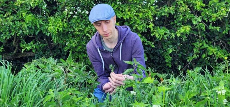Wild edible plants foraging in the UK countryside